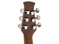 Applause Elite AE44 Mid Cutaway Applause Elite AE44 Mid Cutaway